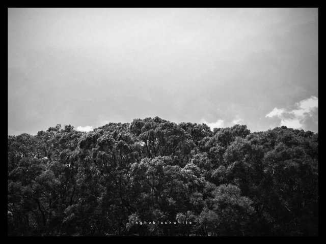 dcf-travel-img-29000